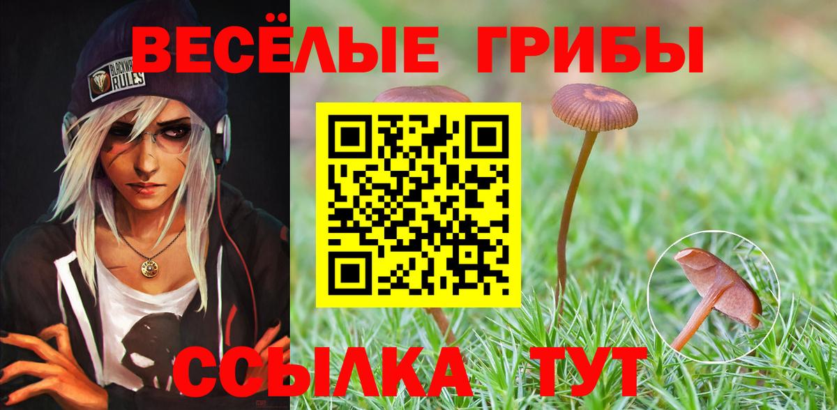 Моздок  наркотики  Псилоцибиновые грибы MAGIC MUSHROOMS  Вход с VPN  Псилоцибиновые грибы мицелий 