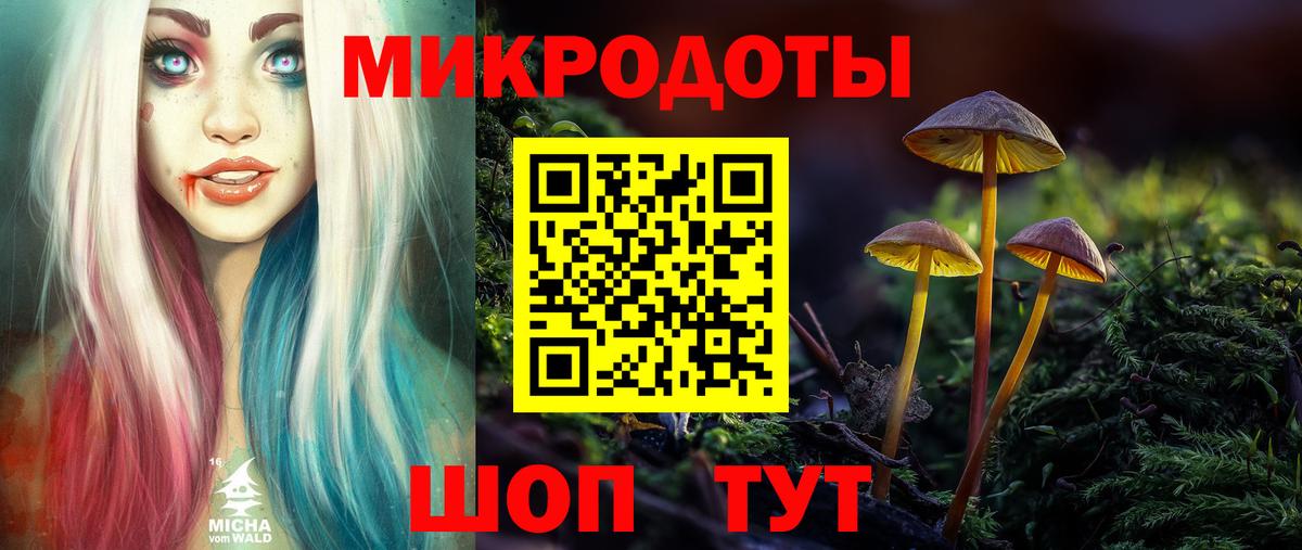 Псилоцибиновые грибы Psilocybe Моздок